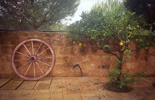 Mgarr Cottage | Bingemma Paradise Farmhouse in the heart of Nature
