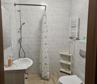 Powidz Apartment | Bingo