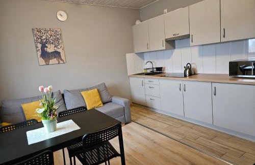Powidz Apartment | Bingo