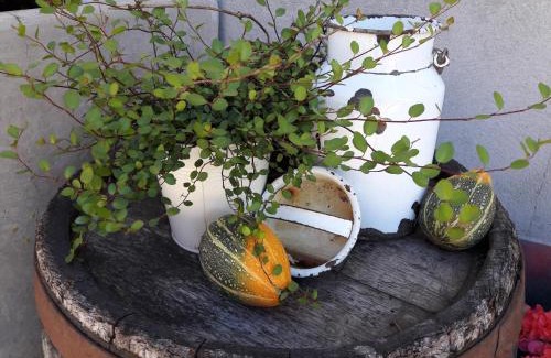 Goestling an der Ybbs Apartment | Biobauernhof Obereck