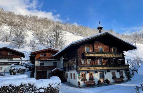 Dorfgastein Apartment | Biobauernhof Torbauer