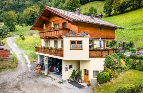 Dorfgastein Apartment | Biobauernhof Torbauer