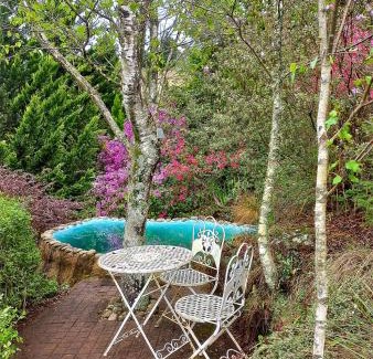 Underberg Cabin | Birches Cottage & the Willows Garden Room