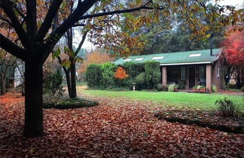 Underberg Cabin | Birches Cottage & the Willows Garden Room