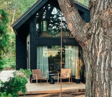 Undva House | Bird nest