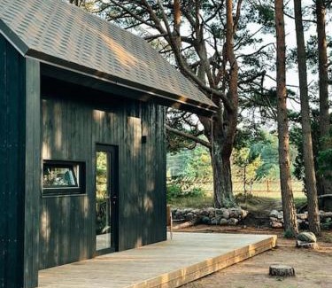 Undva House | Bird nest