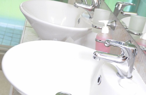 uMlalazi Bed & Breakfast | Birds of paradise B&B