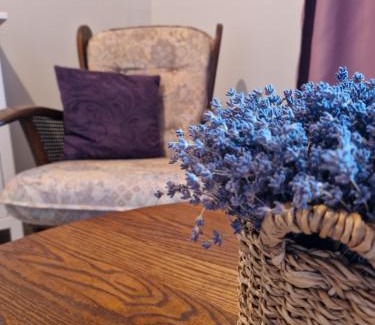 Mazeikiai Apartment | Bite Le Vanda