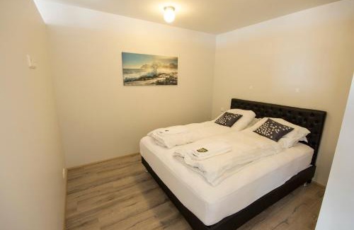 Borgarfjordur Eystri House | Blabjorg Resort