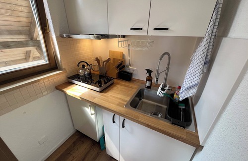 Todtmoos Apartment | Black Forest apartment with sauna (2 room apartment, newly renovated)