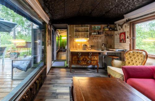 Pedvale Ski Chalet | Black house in the forest with Hot Tube and Home theater for movies