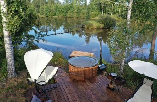 Pedvale Ski Chalet | Black house in the forest with Hot Tube and Home theater for movies