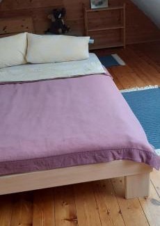 Carlow Apartment | Blaues Haus-Urlaub mit Alpakas oder nur eine schöne Unterkunft in der schaalseergion