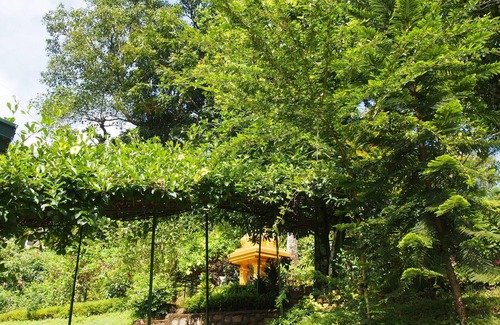 Katukitula Villa | BLEND IN WITH THE NATURE WITH YOUR FAMILY & FRIENDS.ENJOY A COZY STAY TEARAMB.