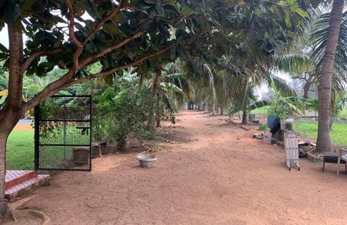 Mandavi House | Blondie`s farm
