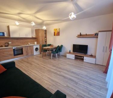 Cordau Apartment | Blooming Apartment, Baile Felix