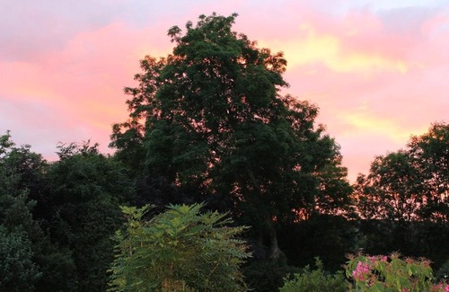 Killaloe Bed & Breakfast | Blossom Hill Bed and Breakfast