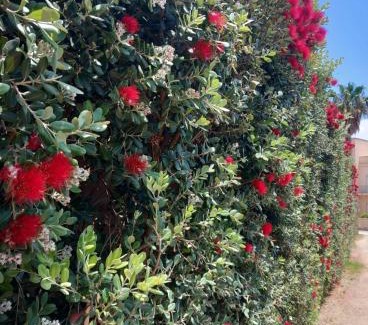 Favignana Apartment | Blu Vacanze Residence