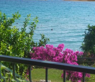 Siviri Apartment | Blue Beach Siviri Chalkidiki
