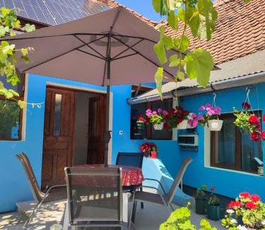 Avrig Apartment | Blue Home