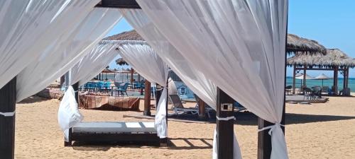 Zafarana Ski Chalet | Bluebay Asia شاليه بلوباي