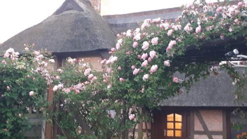 Bodstedt Apartment | Boddenzauber