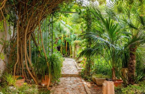 Felanitx House | Bon Son Fiol