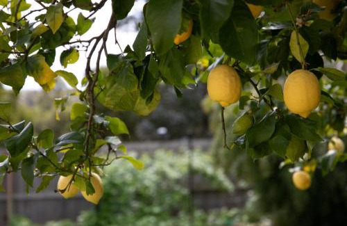 Norwood Apartment | Bonnie Belle, Norwood