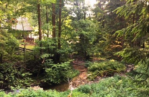 Ladek-Zdroj Ski Chalet | Borówkowa Dolina