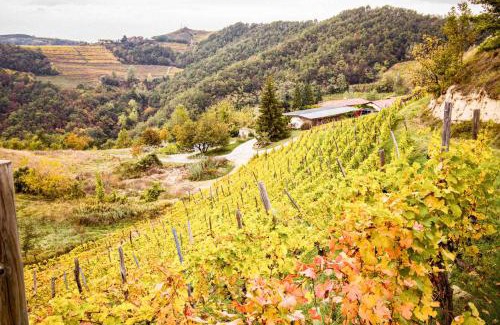 Loazzolo House | Borgo Isolabella - Wine & Vermouth Resort