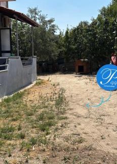 Borsh House | Borsh Selavi Guest House