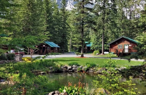 Bear Creek Cabin | Box Canyon Cabin Bear's Den Cabin - 2 bed, WI-FI