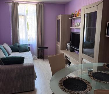 Vidzeme Suburb Apartment | Brīvības skati apartments