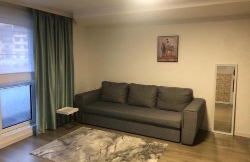 Sangeorz-Bai House | Bradul