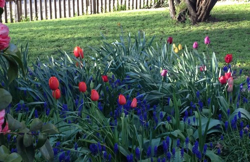 Millthorpe Apartment | Braeside Studio - Country Garden Accommodation