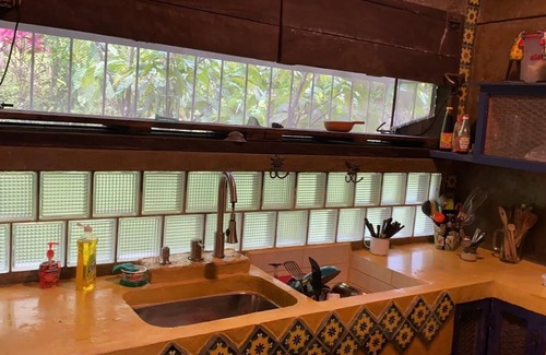 San Miguel House | Breakfast With Toucans And Monkeys