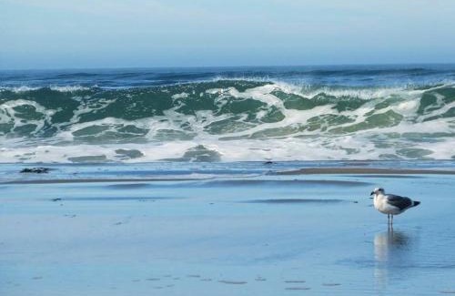 Dillon Beach House | Breaking Waves! On the Bluff! AMAZING VIEWS! BBQ! Fast WiFi! Walk to Beach!