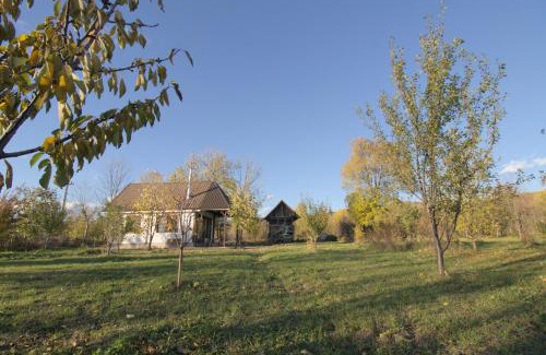 Lunca Mare House | Brebu Holiday House