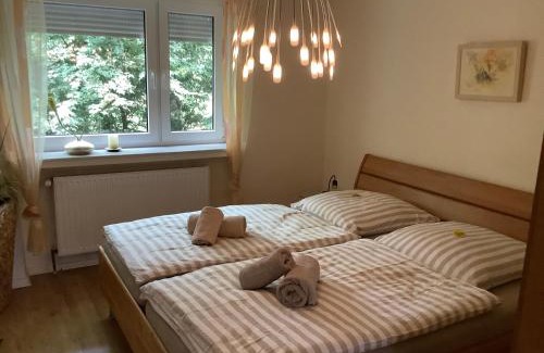 Center Apartment | Bremer 45 - exklusives Apartment am Kurpark
