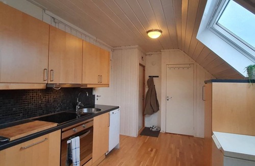 Trondheim Apartment | Bright and Spacious Apartment with Free Parking