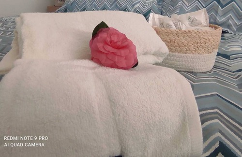 Zona LIII Tomba di Nerone Apartment | Bright open space overlooking the garden: Casa Dei Leoni.