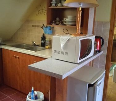 Hajduszoboszlo Apartment | BRIQUE JOBB MINT OTHON Apartman