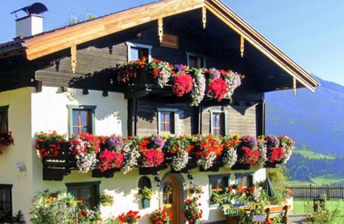 Pfarrwerfen Apartment | Brotzeitalm