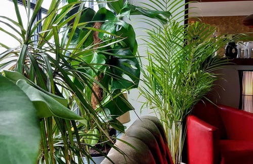 Dartmouth Hotel | Browns Dartmouth