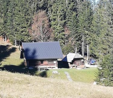 Bohinj Apartment | Brunarica na Goreljeku