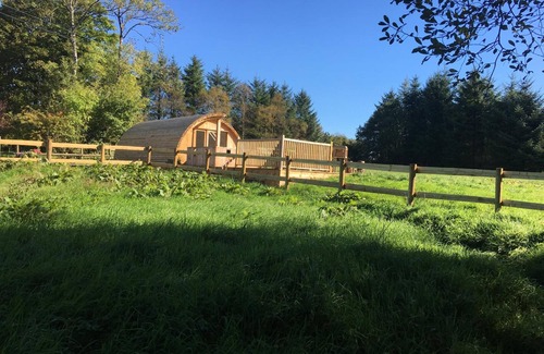 Devils Bridge RV Rental | Brynllwyd Glamping