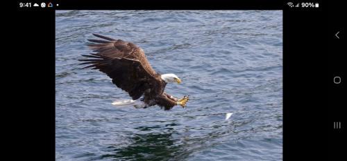 Baddeck Bed & Breakfast | Bryson's Bed and Breakfast