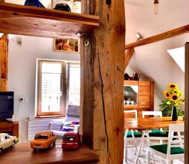 Cieplice Apartment | Brzoza i Świerk z widokiem na góry