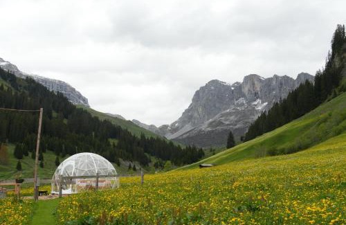 Sankt Antonien Other | Bubble Suite St Antoenien