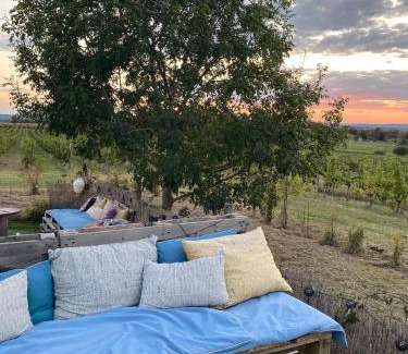 Le Fieu Ski Chalet | Bubulles dans les vignes